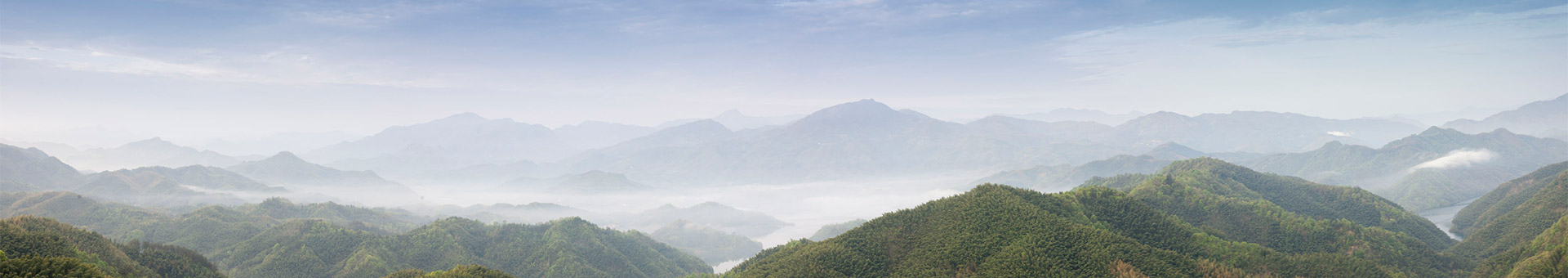 公司簡介_深圳市三綠園林實(shí)業(yè)有限公司